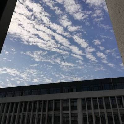 太阁群英传九游版下载